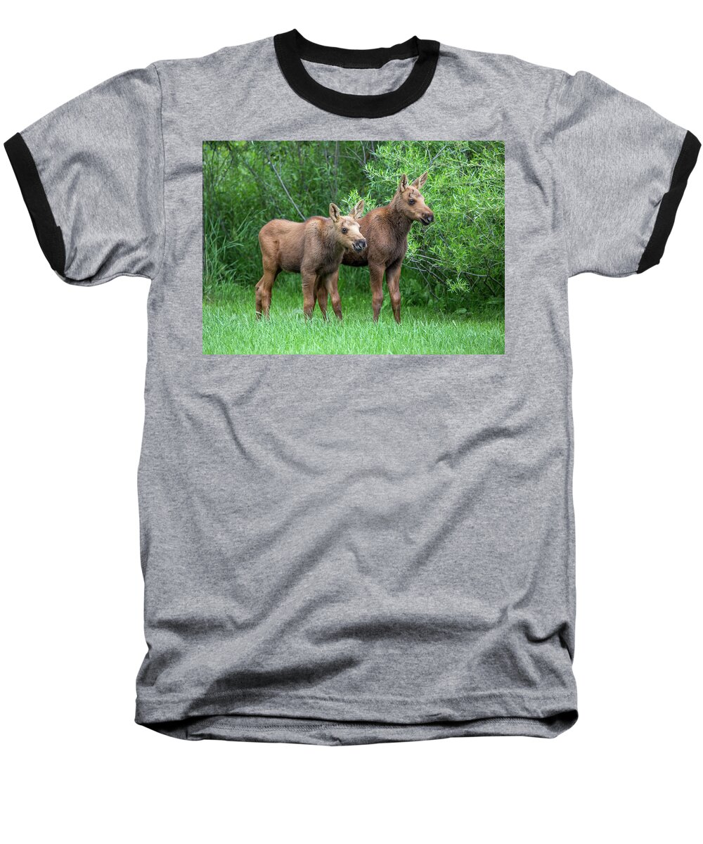 Moose Baseball T-Shirt featuring the photograph Future King by Kevin Dietrich