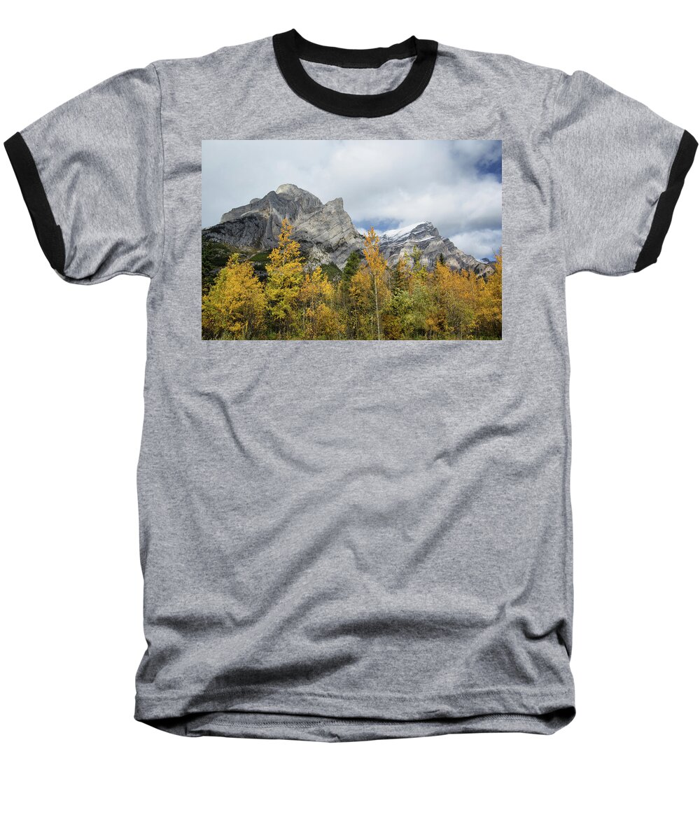 Tree Baseball T-Shirt featuring the photograph Galatea in Fall by Celine Pollard