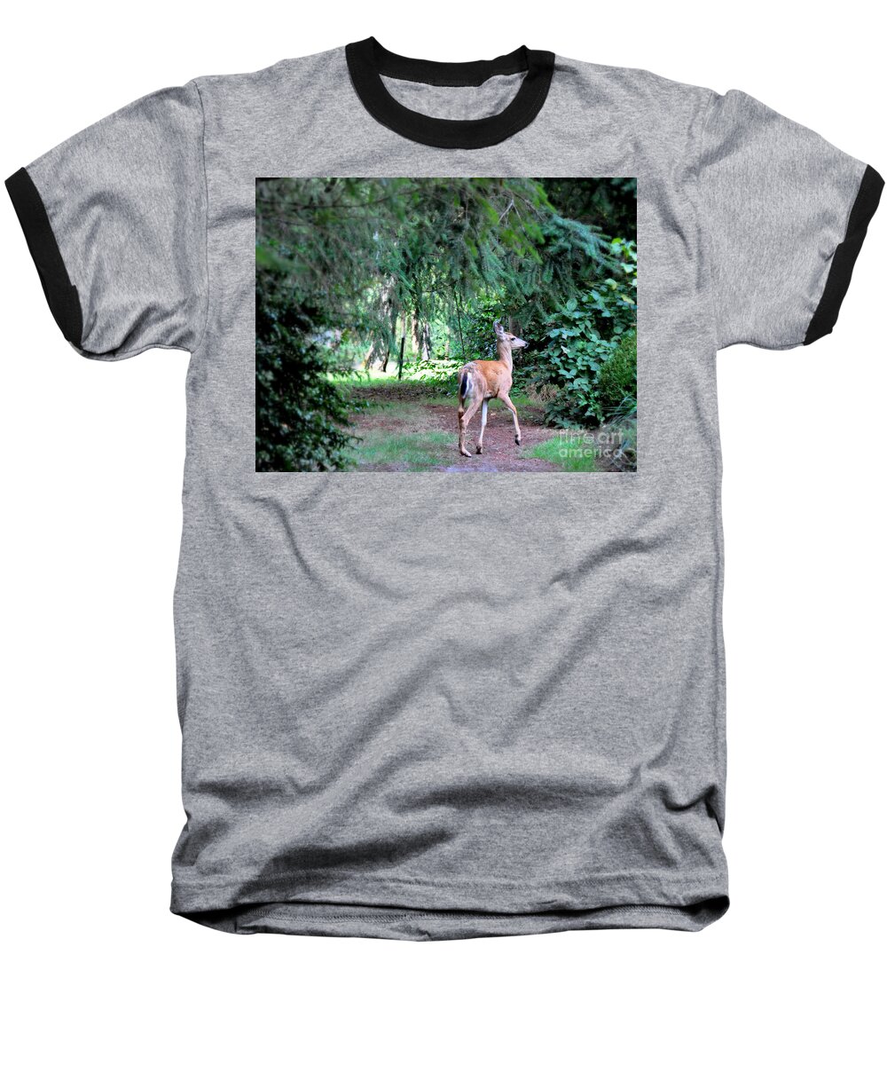 Deer Baseball T-Shirt featuring the photograph Garden Guest by Tatyana Searcy