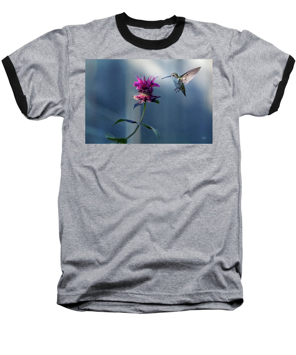 Hummingbird Baseball T-Shirt featuring the photograph Garden Jewelry by Everet Regal