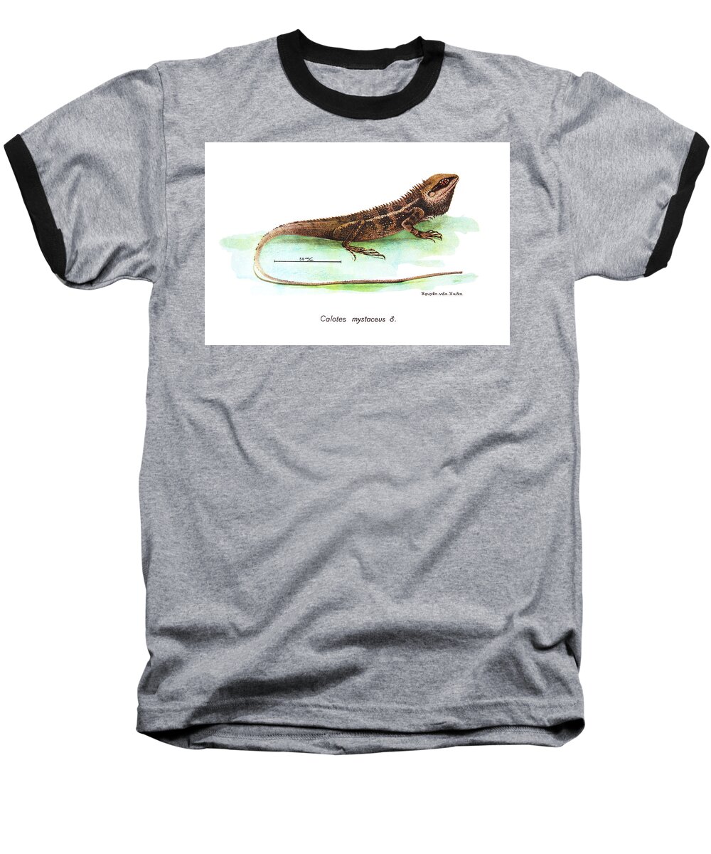 Lizard Baseball T-Shirt featuring the drawing Garden Lizard by Nguyen van Xuan