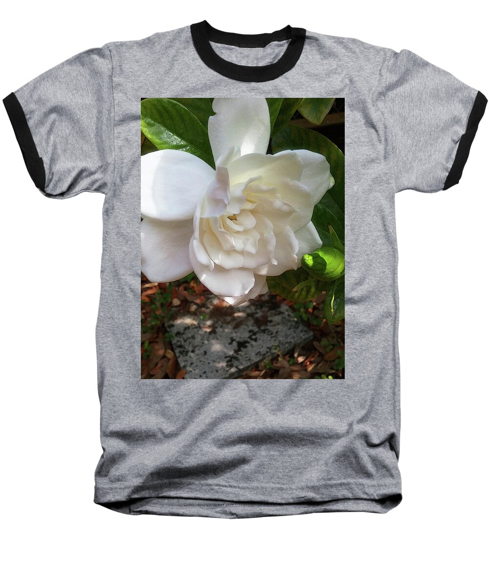 Gardenia Baseball T-Shirt featuring the photograph Gardenia Blossom by Ginny Schmidt
