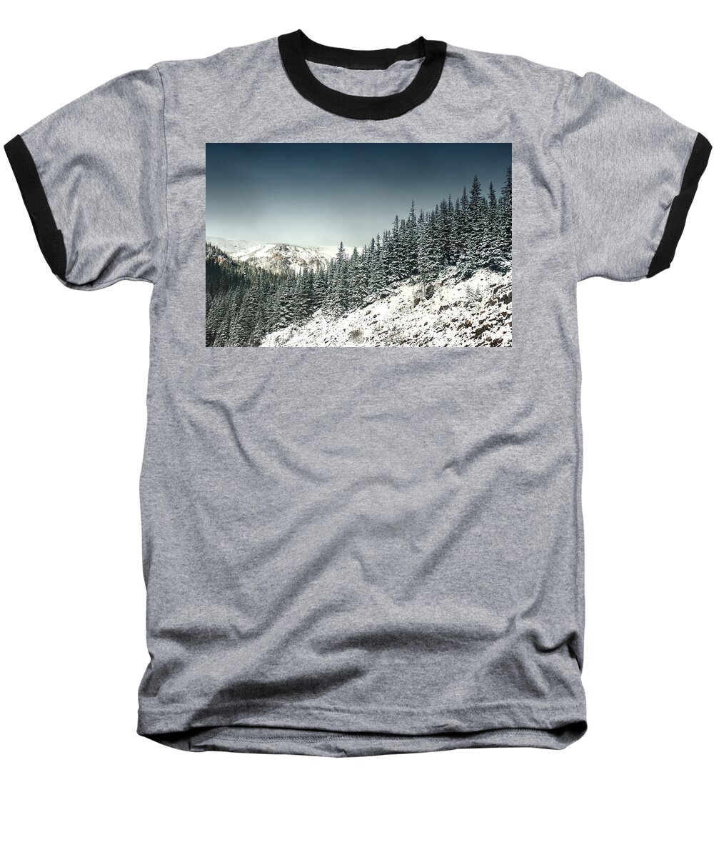 Arapaho National Forest Baseball T-Shirt featuring the photograph Gaurdians by Dana DiPasquale