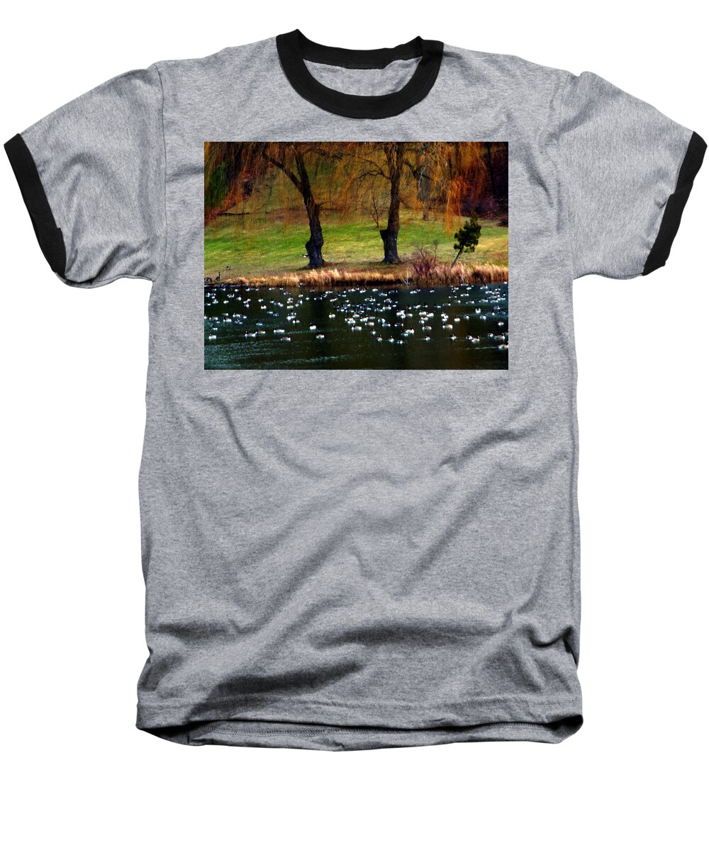 Canada Goose Baseball T-Shirt featuring the photograph Geese Weeping Willows by Rockin Docks Deluxephotos