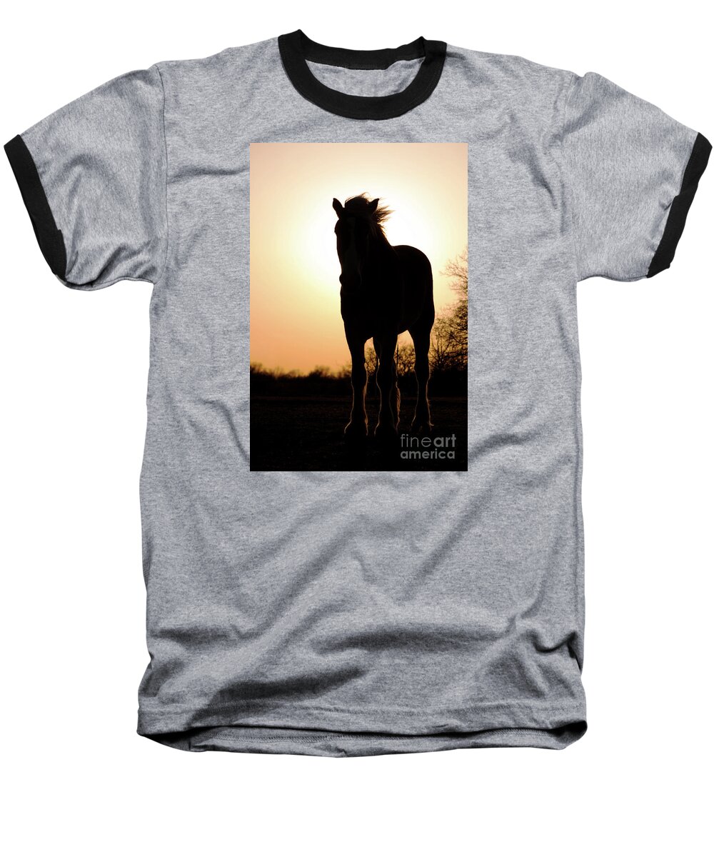 Silhouette Baseball T-Shirt featuring the photograph Gentlest Giant by Sari ONeal