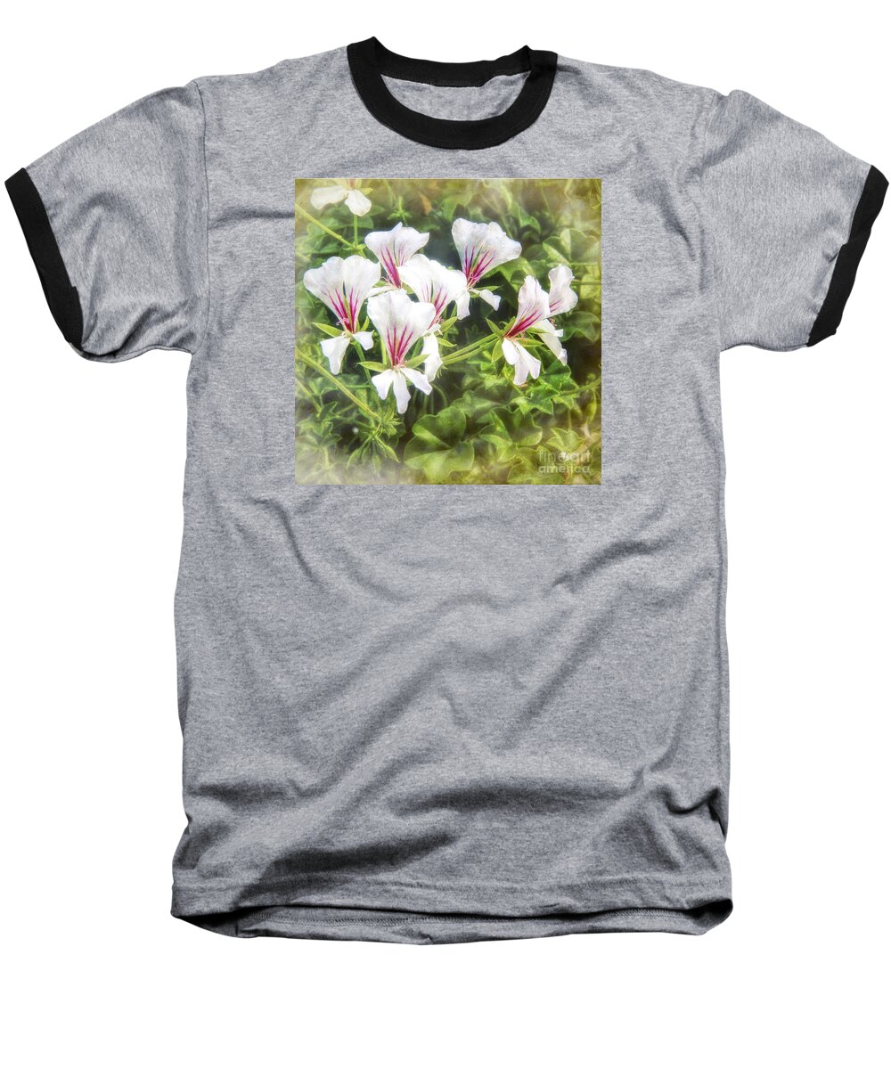 Gladiolus Acidanthera Baseball T-Shirt featuring the photograph Gladiolus Callianthus by Barry Weiss