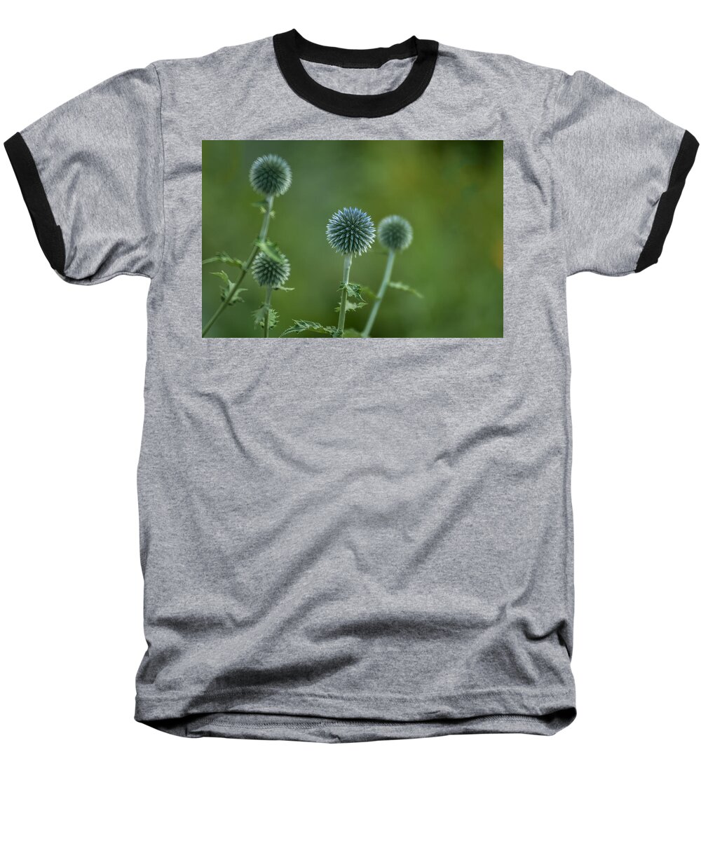 Flowers Baseball T-Shirt featuring the photograph Globe Thistles Echinops by David Smith