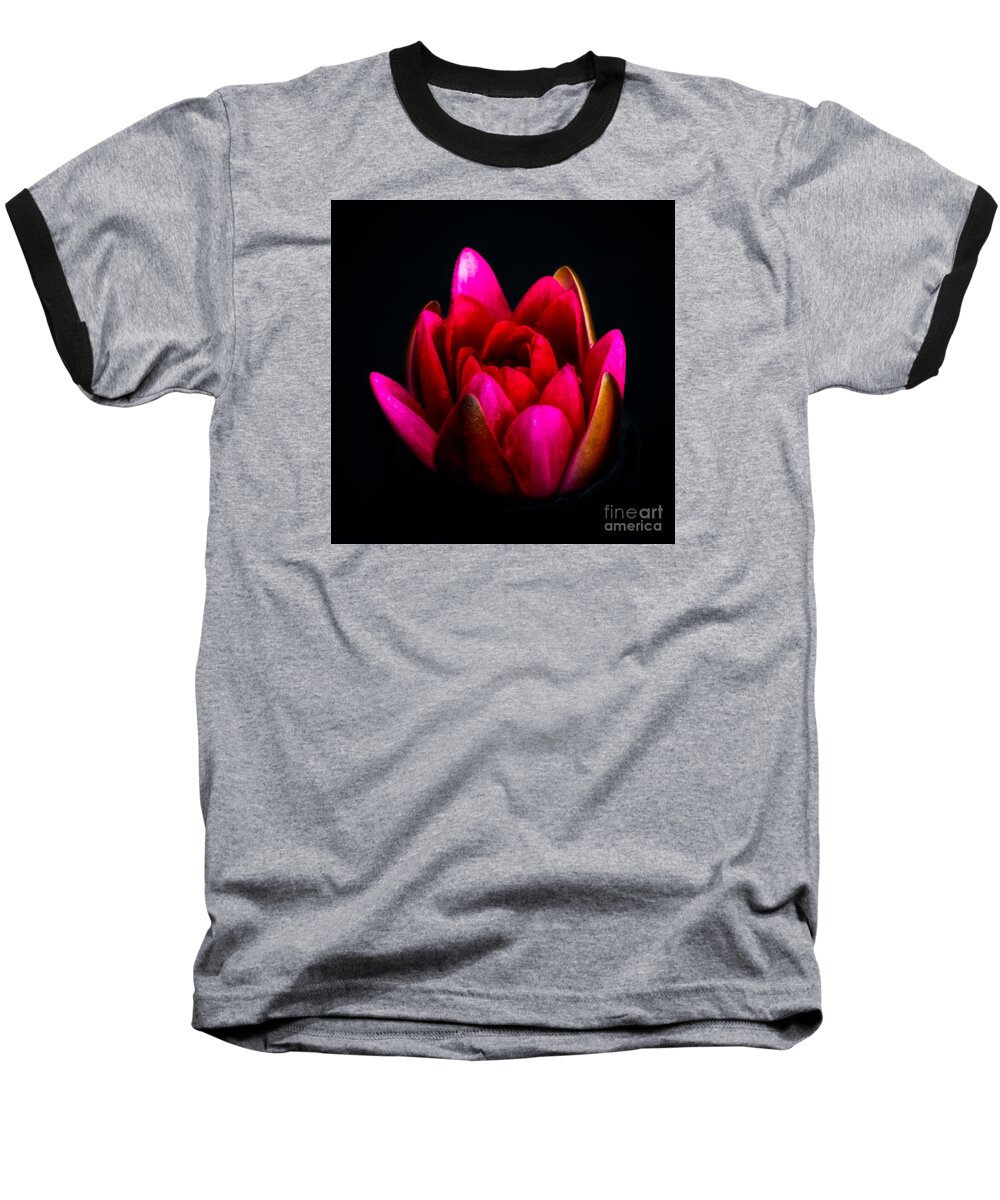 Red Flower Baseball T-Shirt featuring the photograph Glorious Lily by Adrian Evans