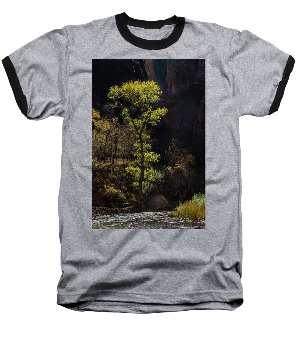 Zion Baseball T-Shirt featuring the photograph Glowing Tree at Zion by James Woody