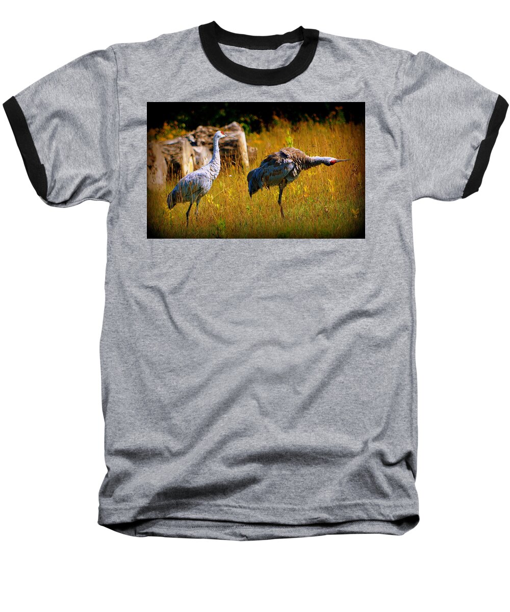 Baseball T-Shirt featuring the photograph Go This Way by Kimberly Woyak