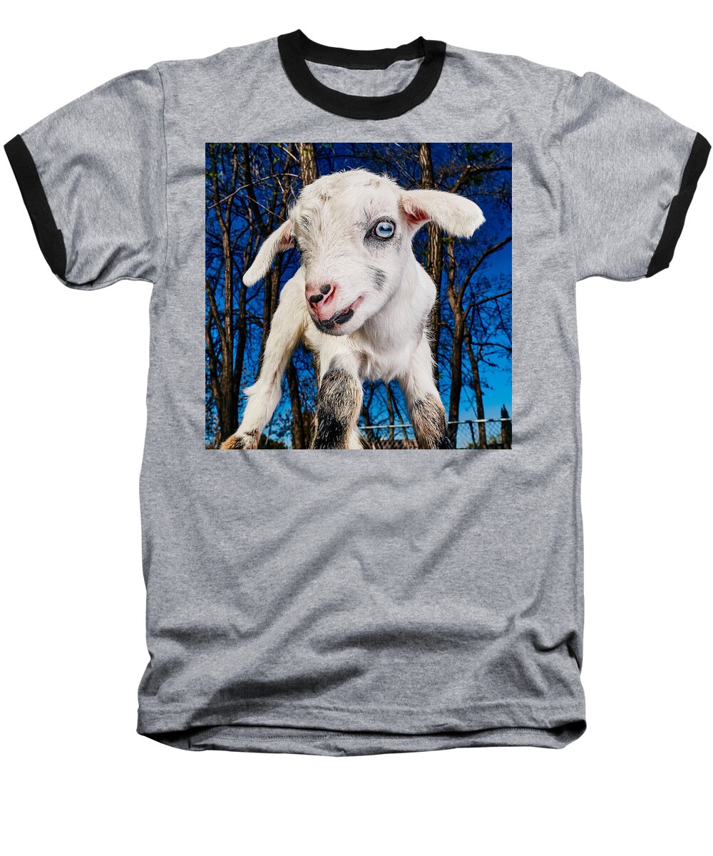 Goat Baseball T-Shirt featuring the photograph Goat High Fashion Runway by TC Morgan