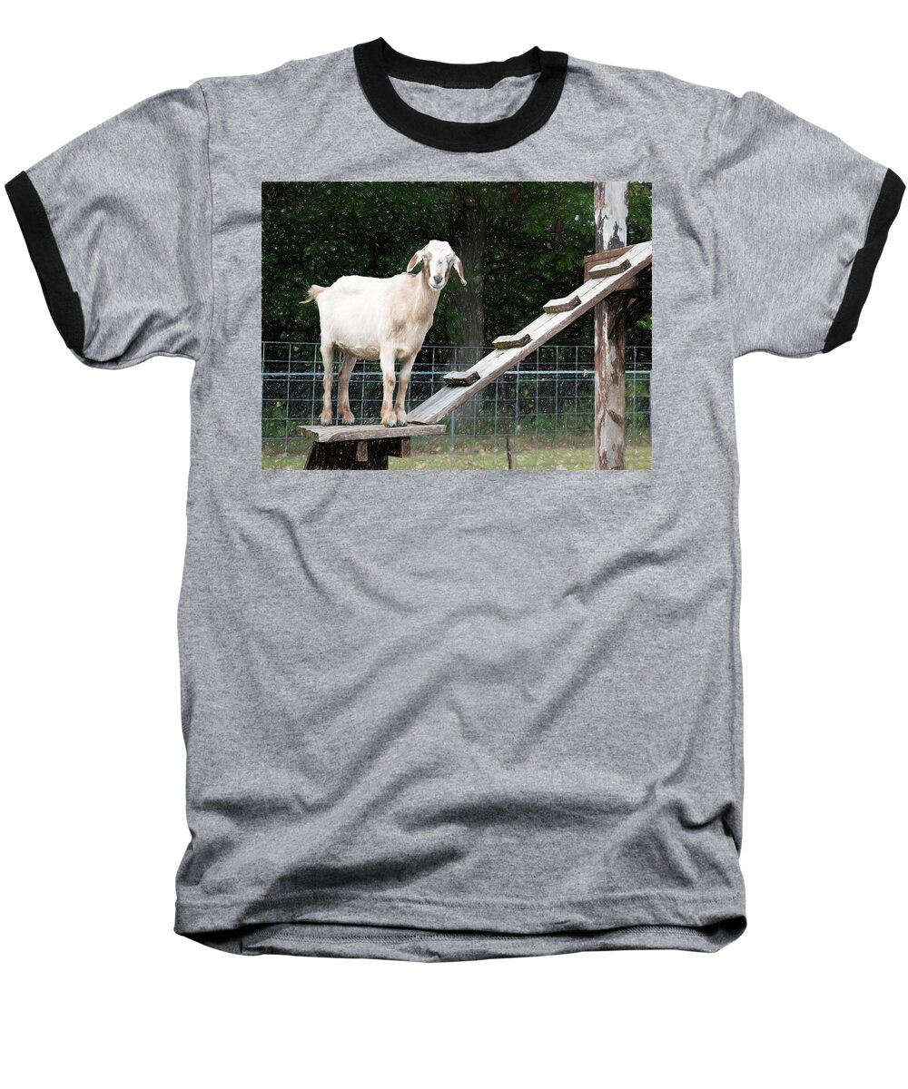 Goat Baseball T-Shirt featuring the digital art Goat Smile by Susan Stone