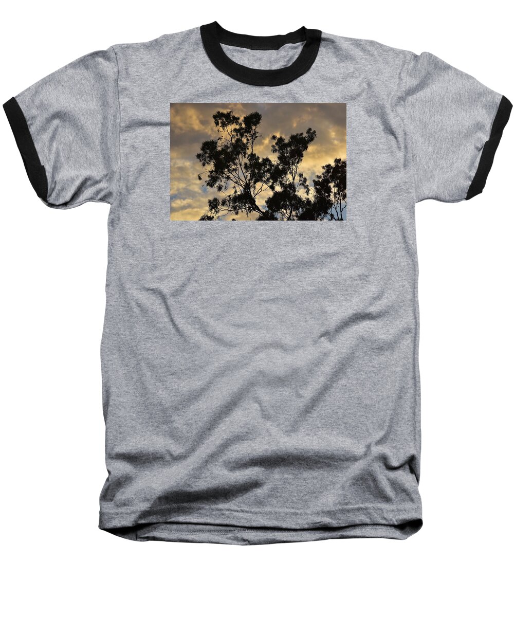 Linda Brody Baseball T-Shirt featuring the photograph Gold Sunset Tree Silhouette I by Linda Brody