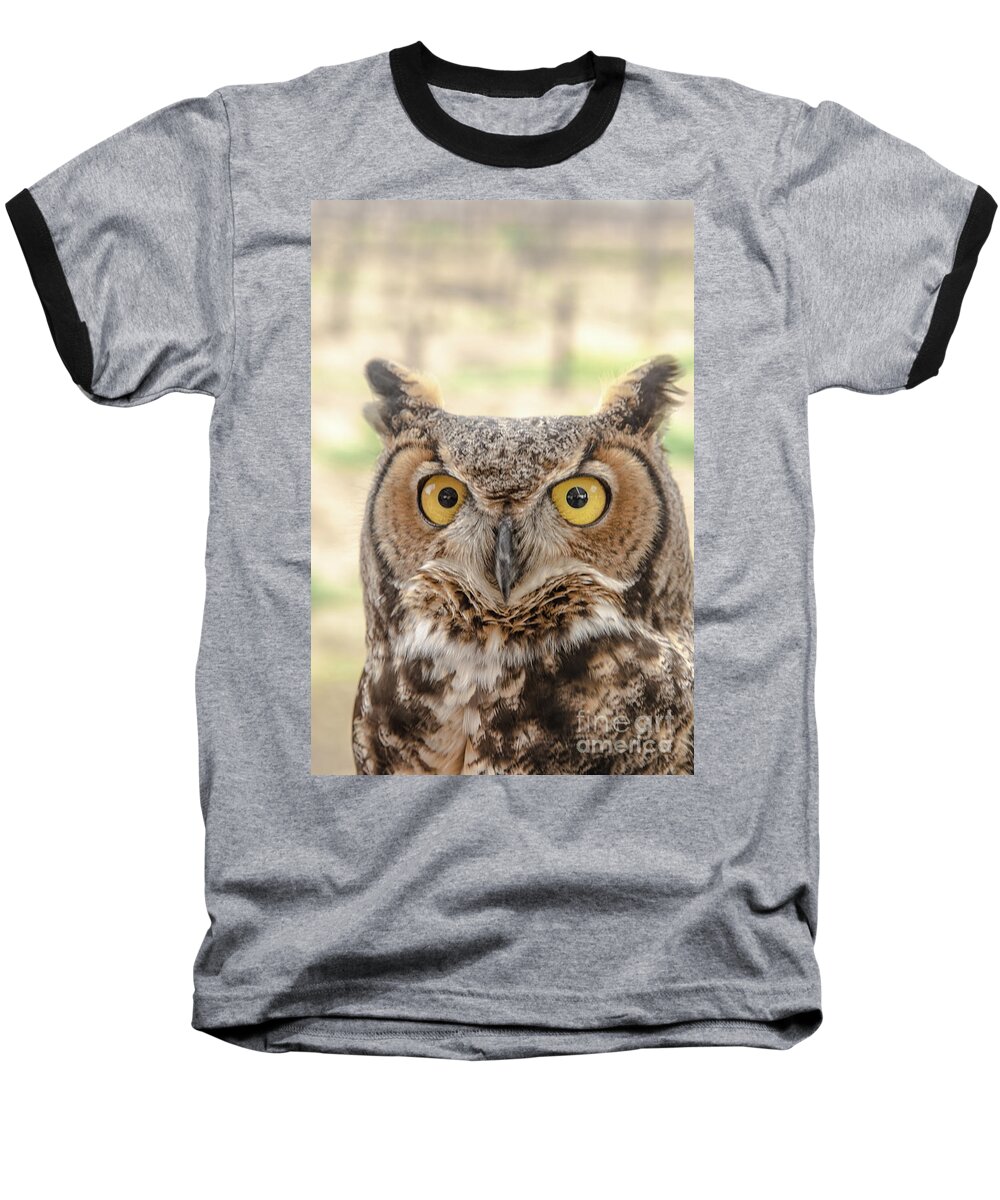 Owl Baseball T-Shirt featuring the photograph Golden Eyes by Jim DeLillo