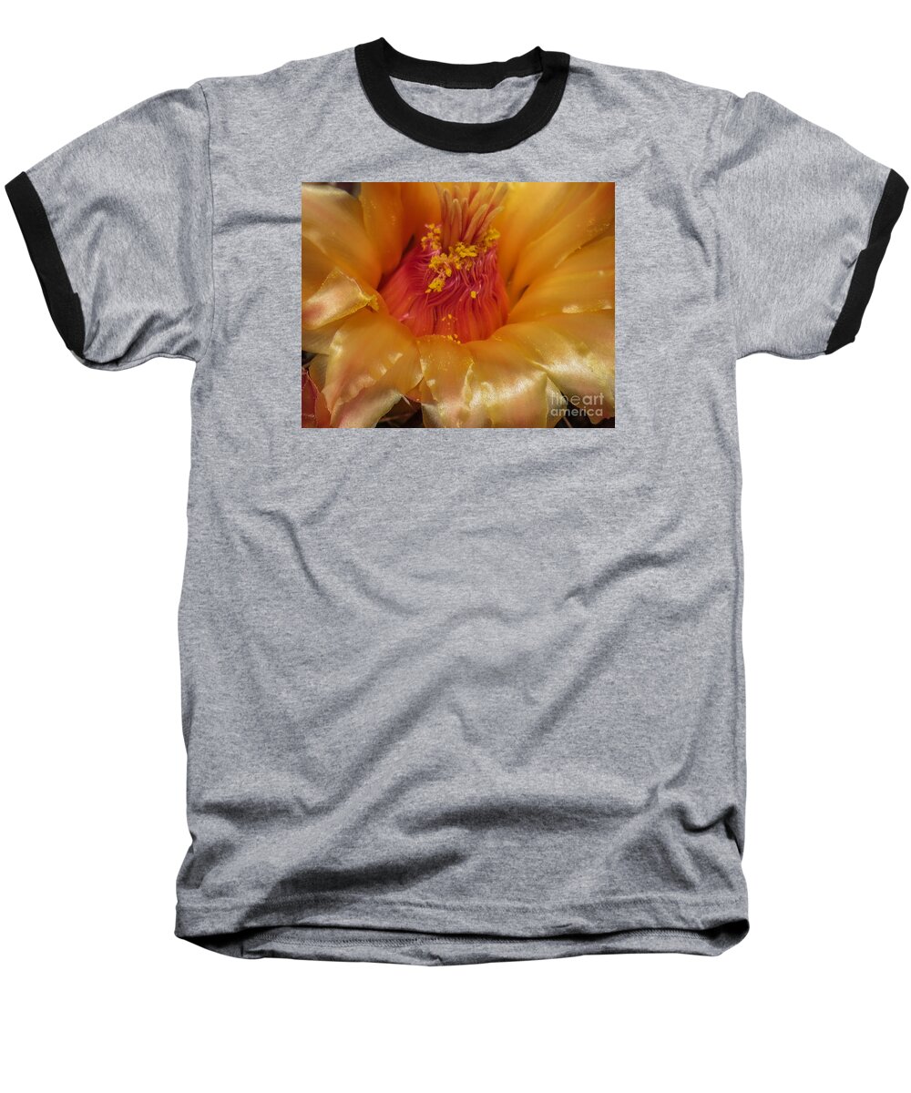 Golden Baseball T-Shirt featuring the photograph Golden Flower 1 by Christy Garavetto
