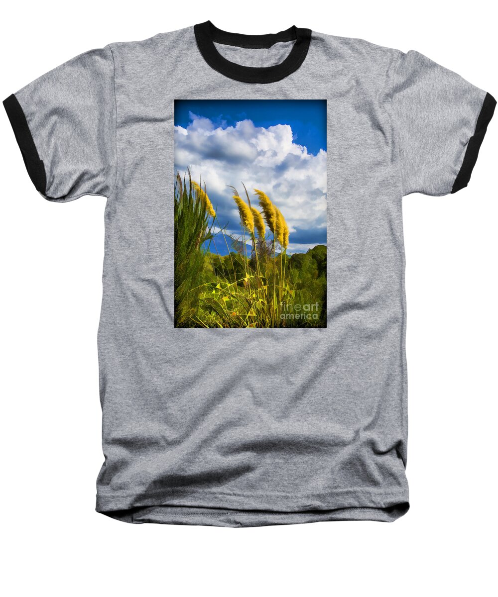 New Zealand's Plants Baseball T-Shirt featuring the photograph Golden Fluff by Rick Bragan