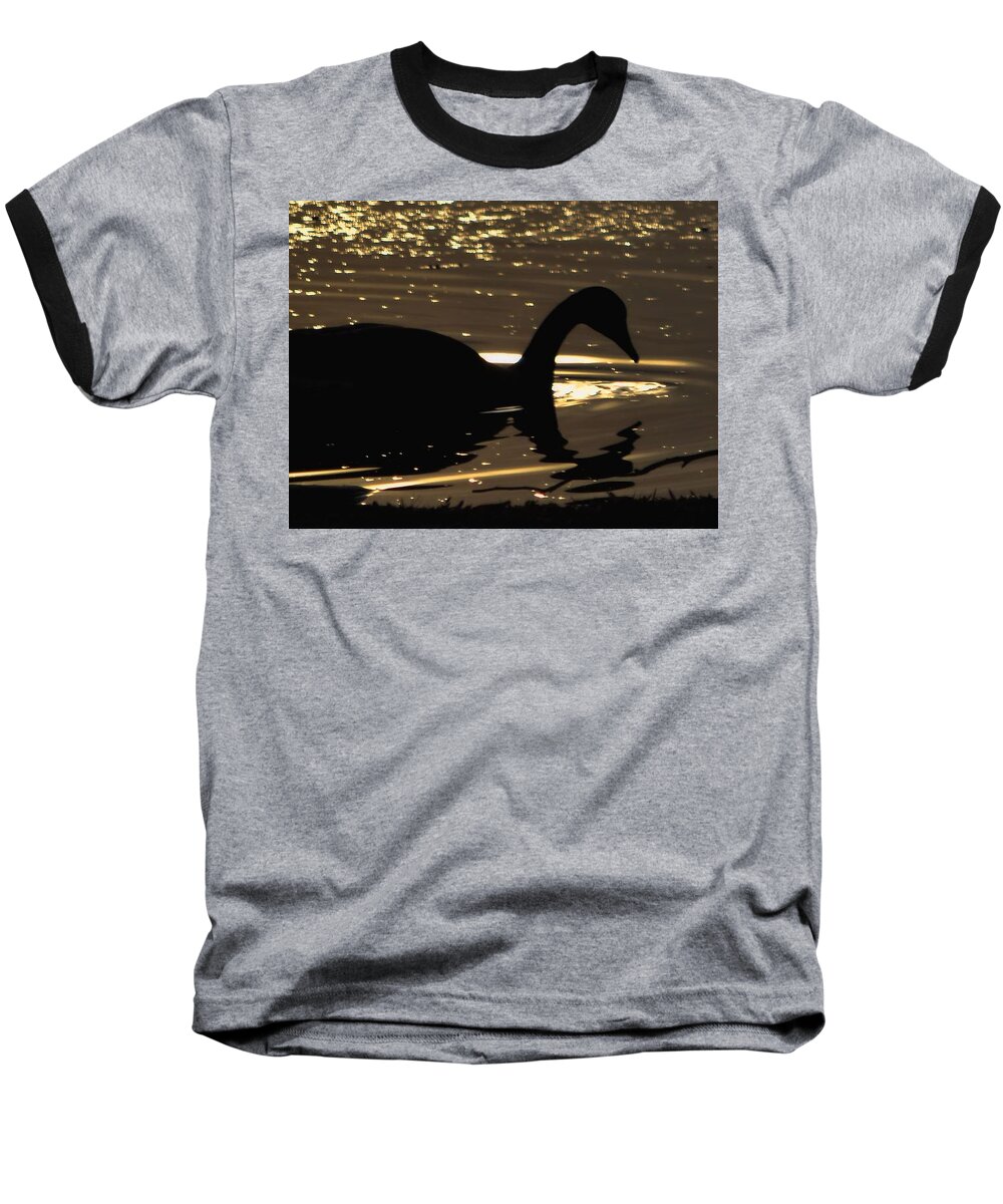 Birds Baseball T-Shirt featuring the photograph Golden Girl by Robert McCubbin