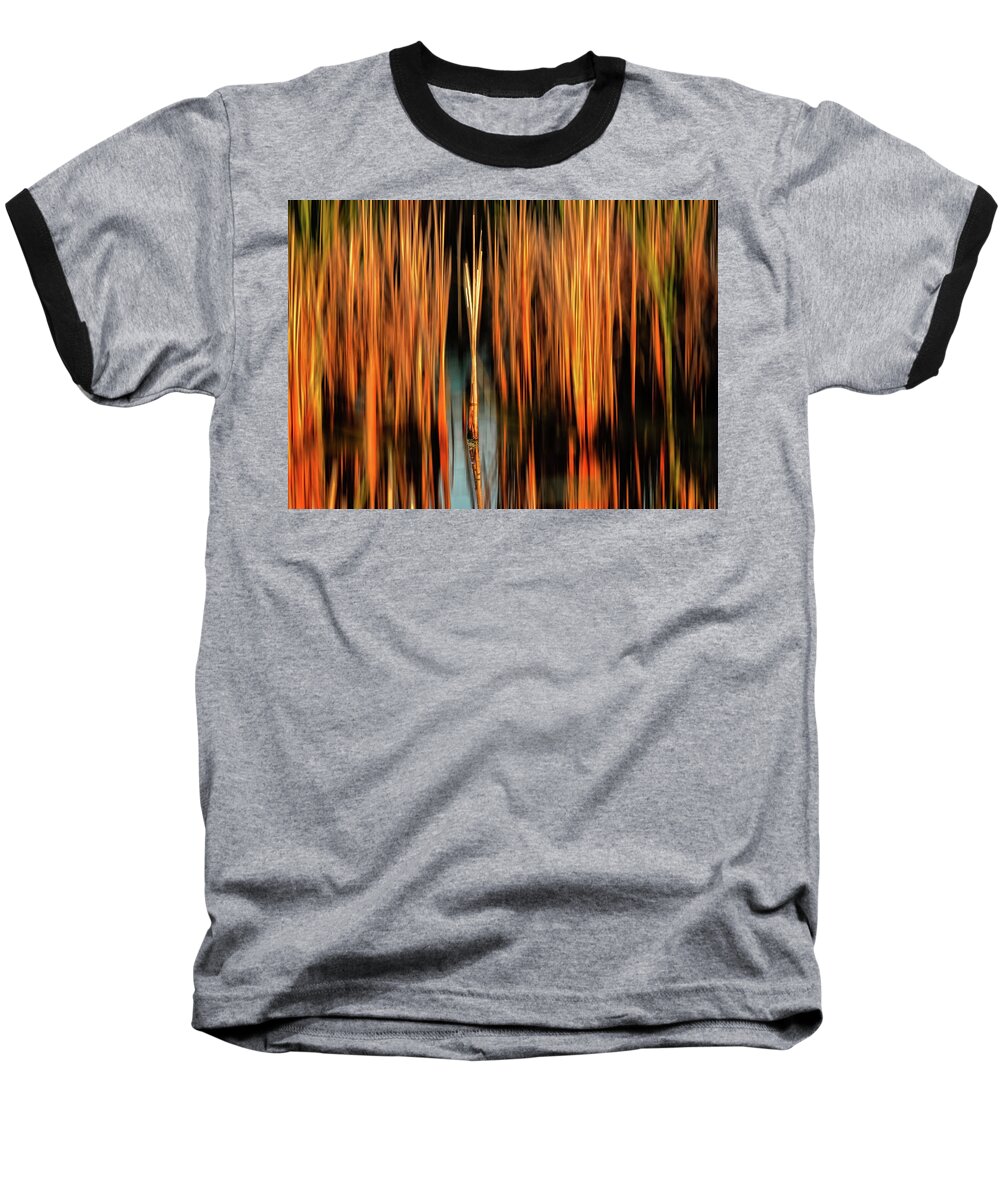 Nature Baseball T-Shirt featuring the photograph Golden reeds by Robert Mitchell