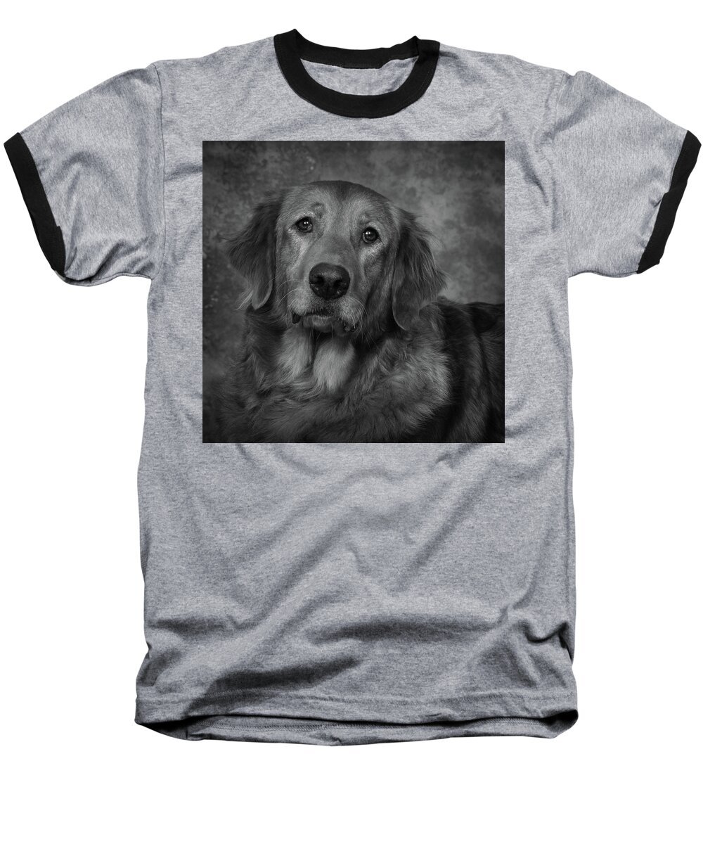 Dog Baseball T-Shirt featuring the photograph Golden Retriever In Black and White by Greg and Chrystal Mimbs