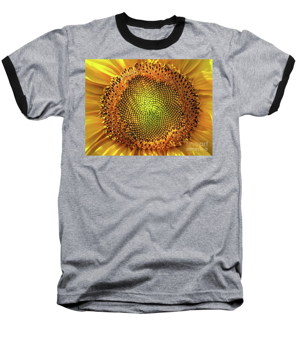 Sunflower Baseball T-Shirt featuring the photograph Golden Spiral Seed Arrangement by Daliana Pacuraru