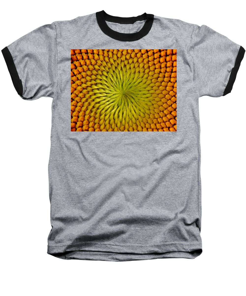Grinter Baseball T-Shirt featuring the photograph Golden Sunflower Eye by Chris Berry