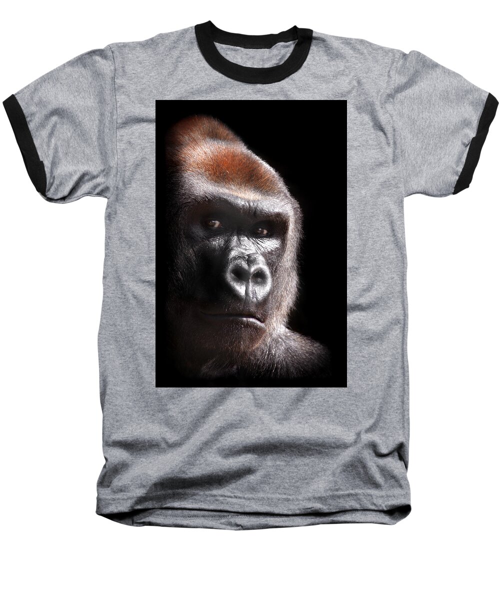 Stephanie Butler Baseball T-Shirt featuring the photograph Gorilla ... Kouillou by Stephie Butler