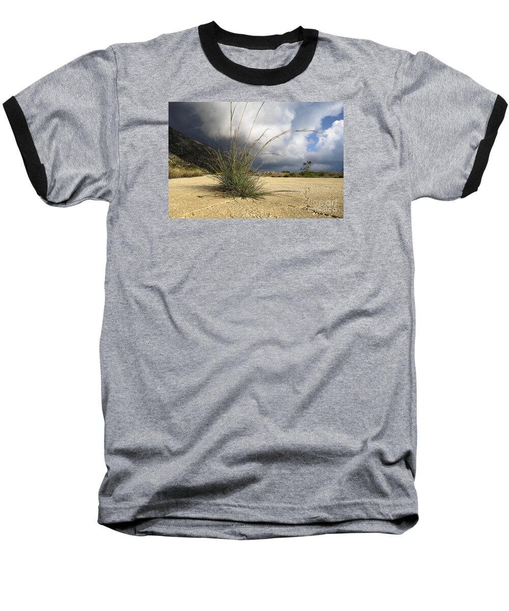 Grass Baseball T-Shirt featuring the photograph Grass growing out of crack in tarmac by Perry Van Munster