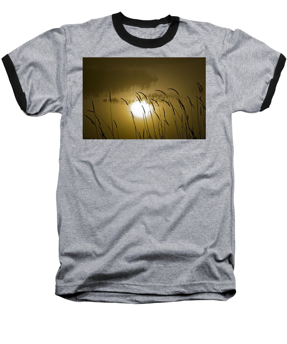 Grasses Baseball T-Shirt featuring the photograph Grass Silhouettes by Albert Seger