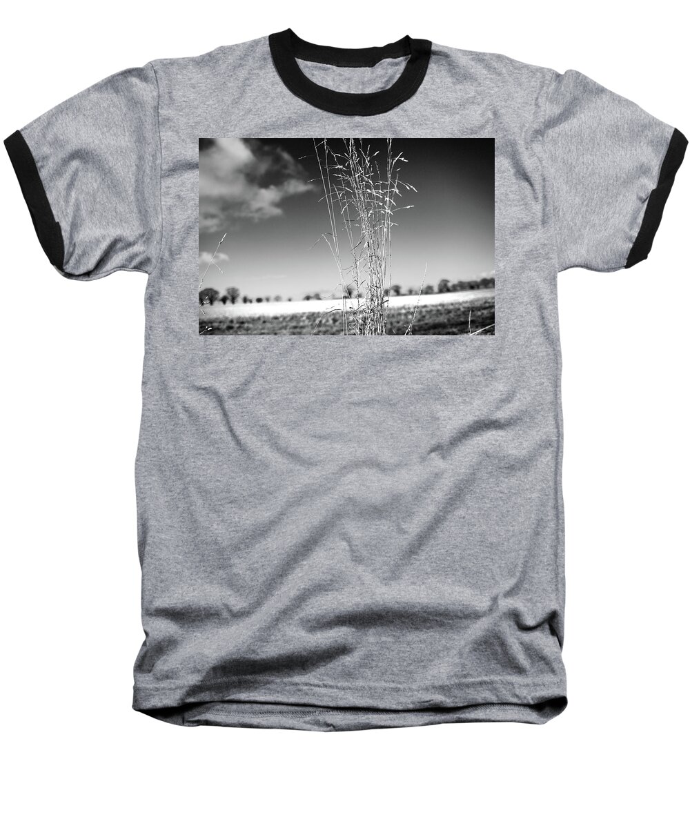 Fields Baseball T-Shirt featuring the photograph Grass Tuft by Ed James
