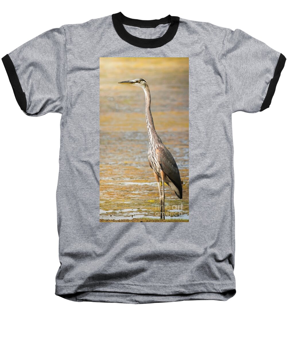 Wildlife Baseball T-Shirt featuring the photograph Great Blue At The Flats by Robert Frederick