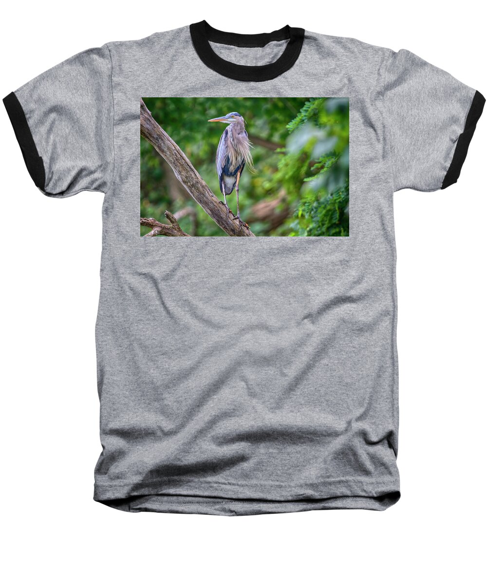 Port Dover Baseball T-Shirt featuring the photograph Great Blue Heron 2 by Gary Hall