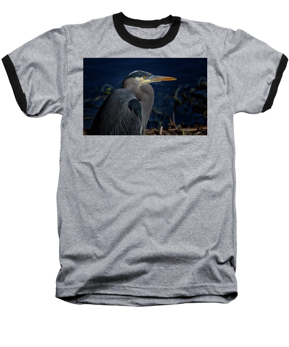 Great Blue Heron Baseball T-Shirt featuring the photograph Great Blue Heron by Randy Hall