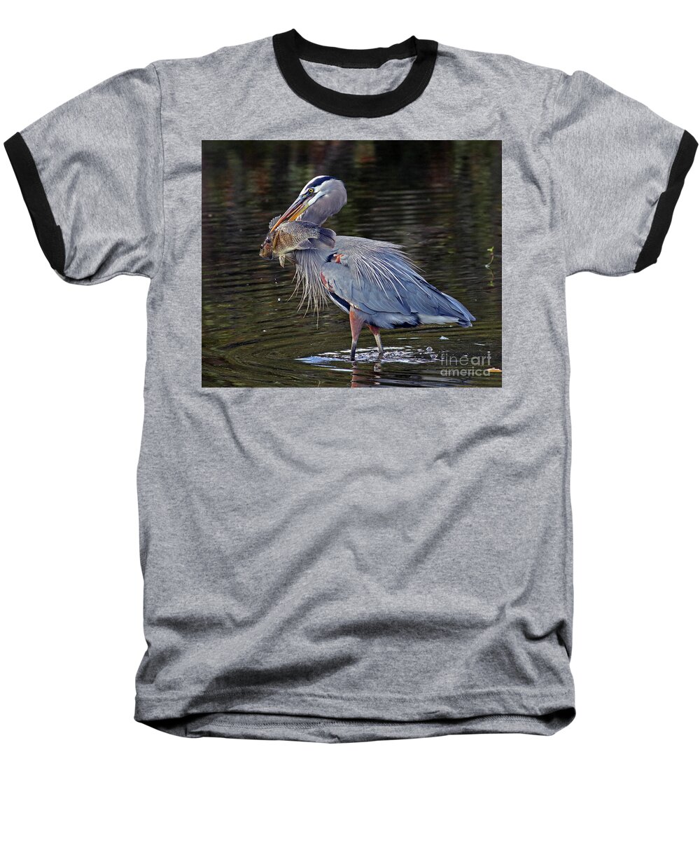 Bird Baseball T-Shirt featuring the photograph Great Blue Heron with Tilapia by Larry Nieland