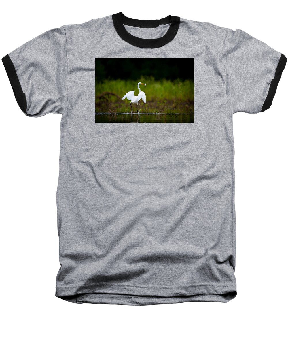 Nature Baseball T-Shirt featuring the photograph Great Egret, Great Fisherman by Jeff Phillippi