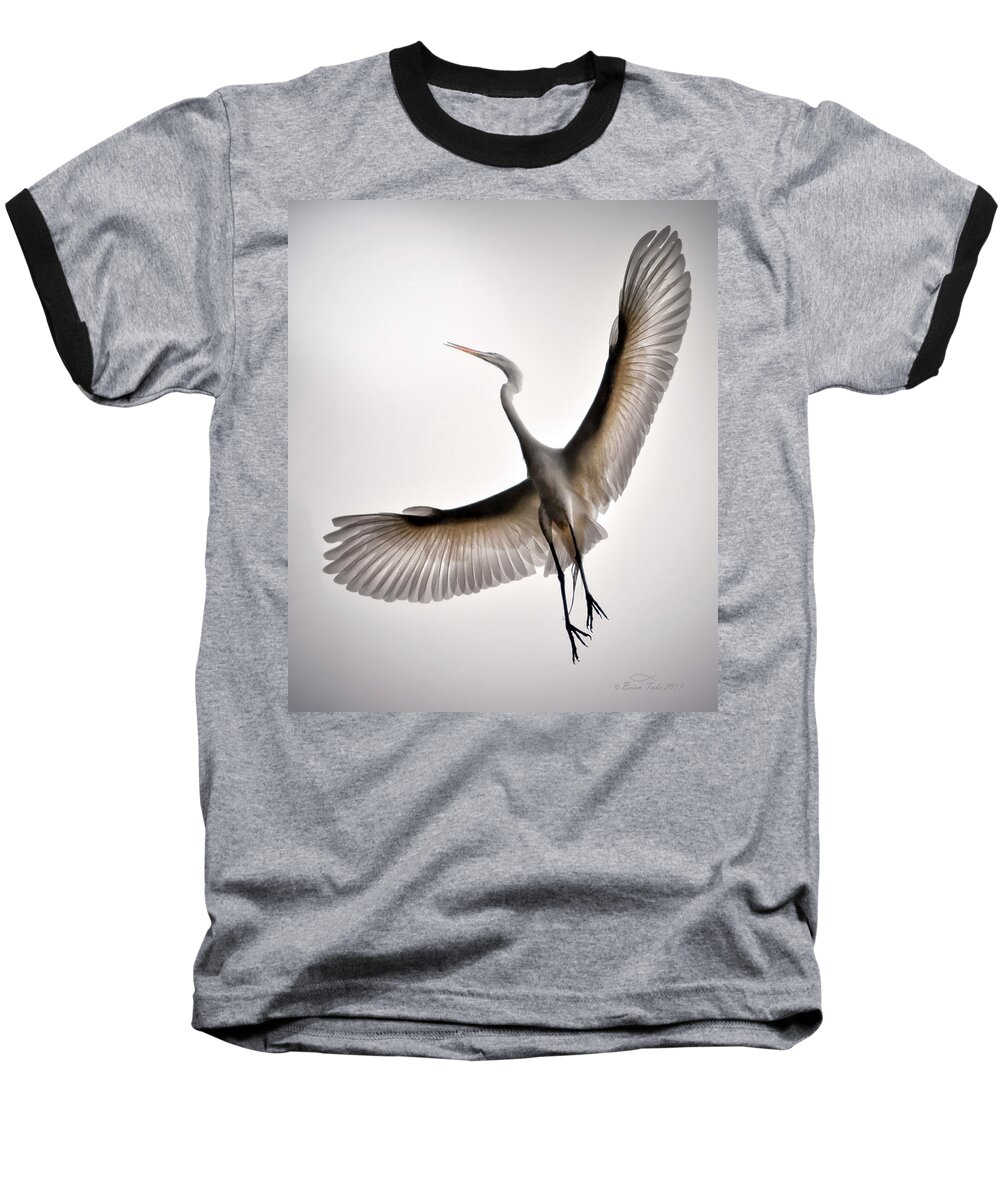 Wildlife Baseball T-Shirt featuring the photograph Great Egret Majesty by Brian Tada