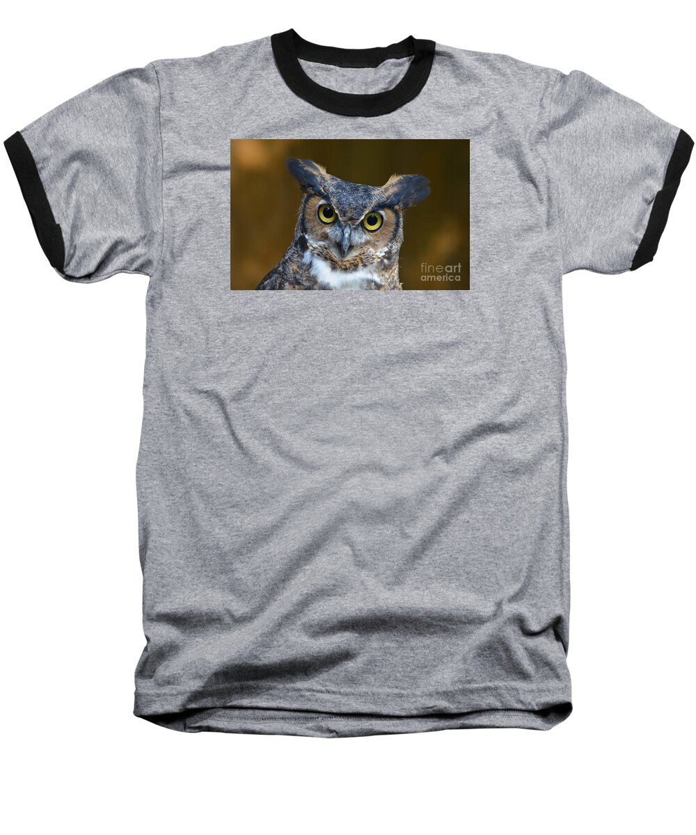Owl Baseball T-Shirt featuring the photograph Great Horned Owl Portrait by Kathy Baccari