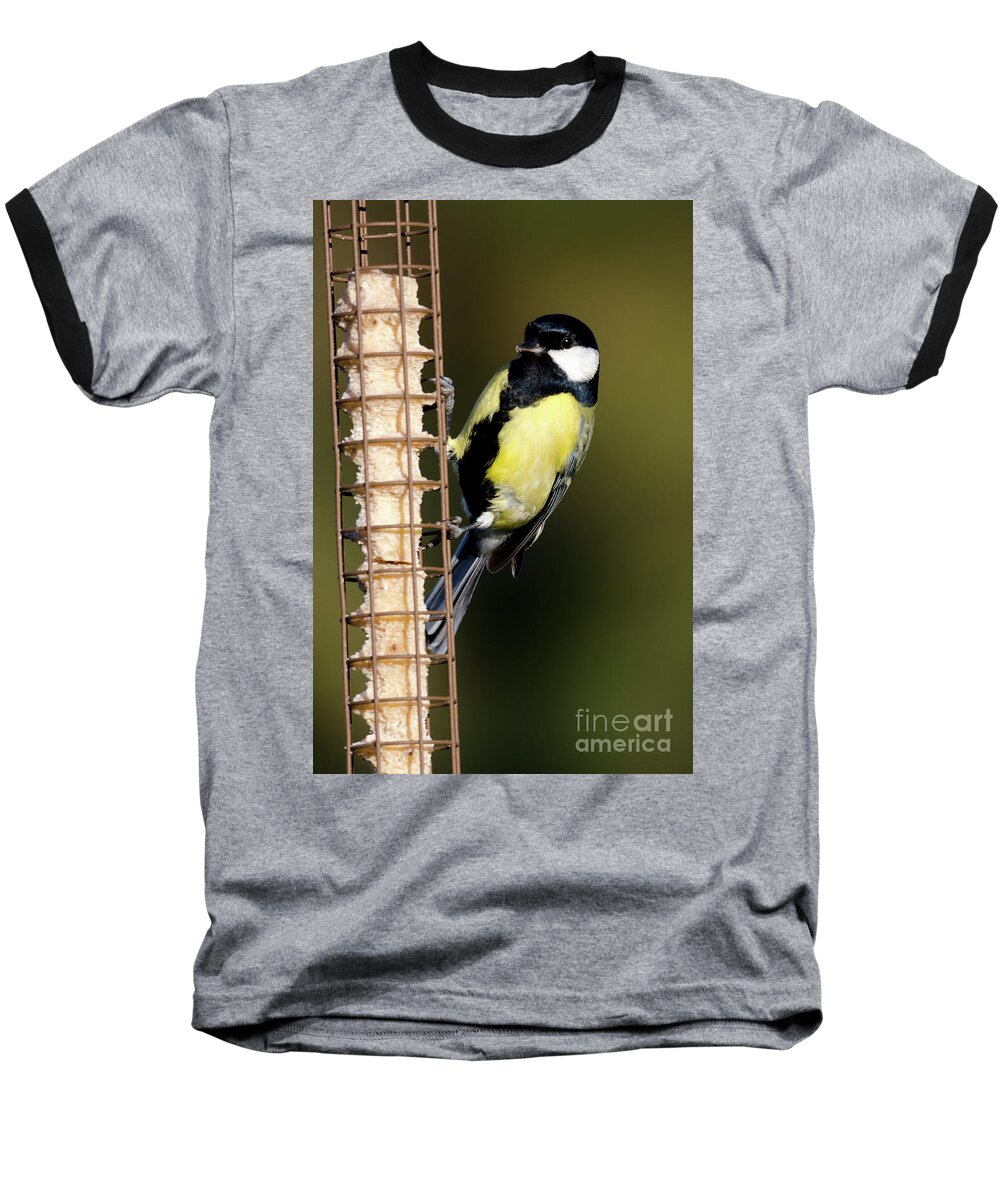 Great Tit Baseball T-Shirt featuring the photograph Great tit on feeder by Steev Stamford