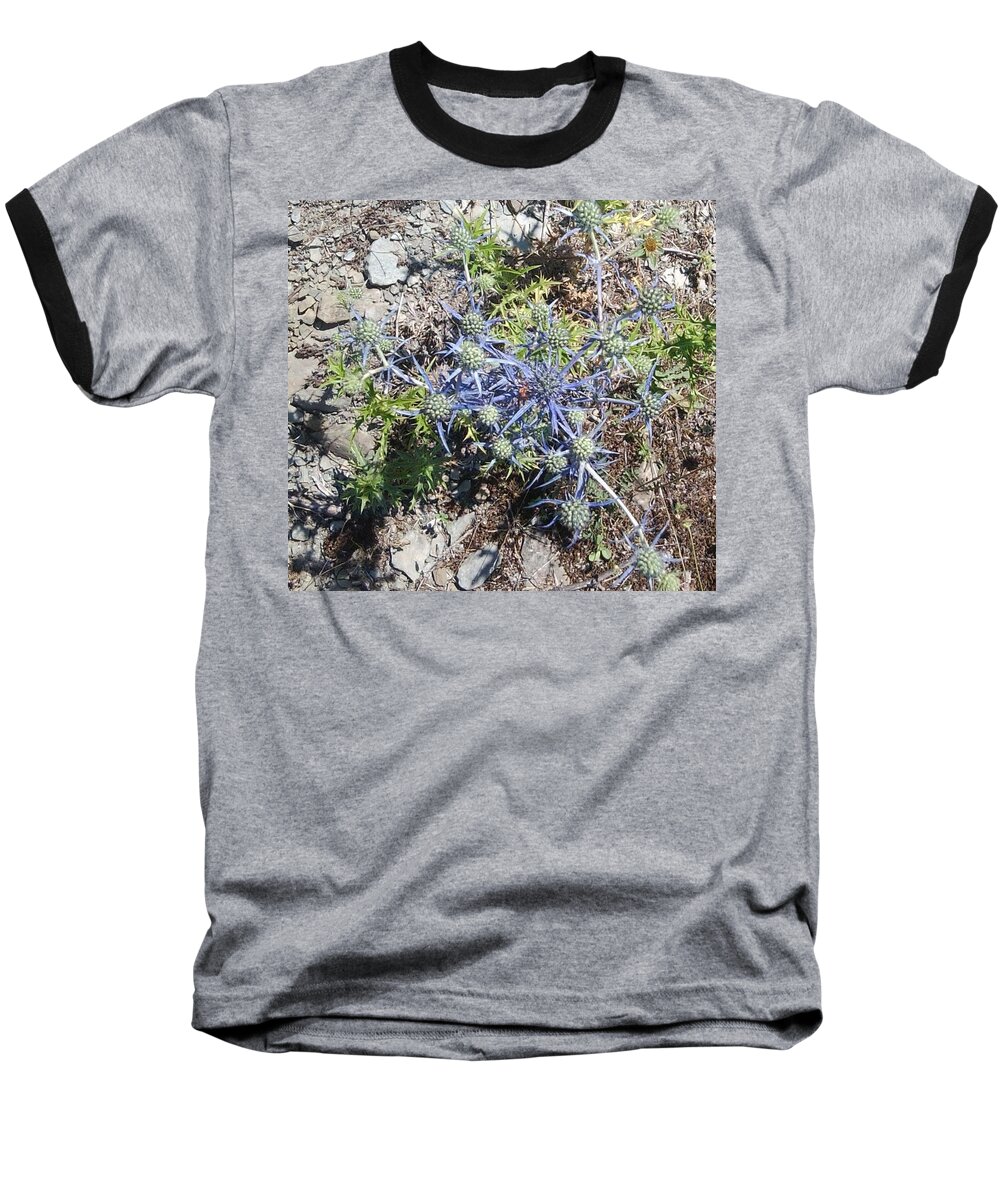 Greek Baseball T-Shirt featuring the photograph Greek Spiky Plant by Julia Woodman