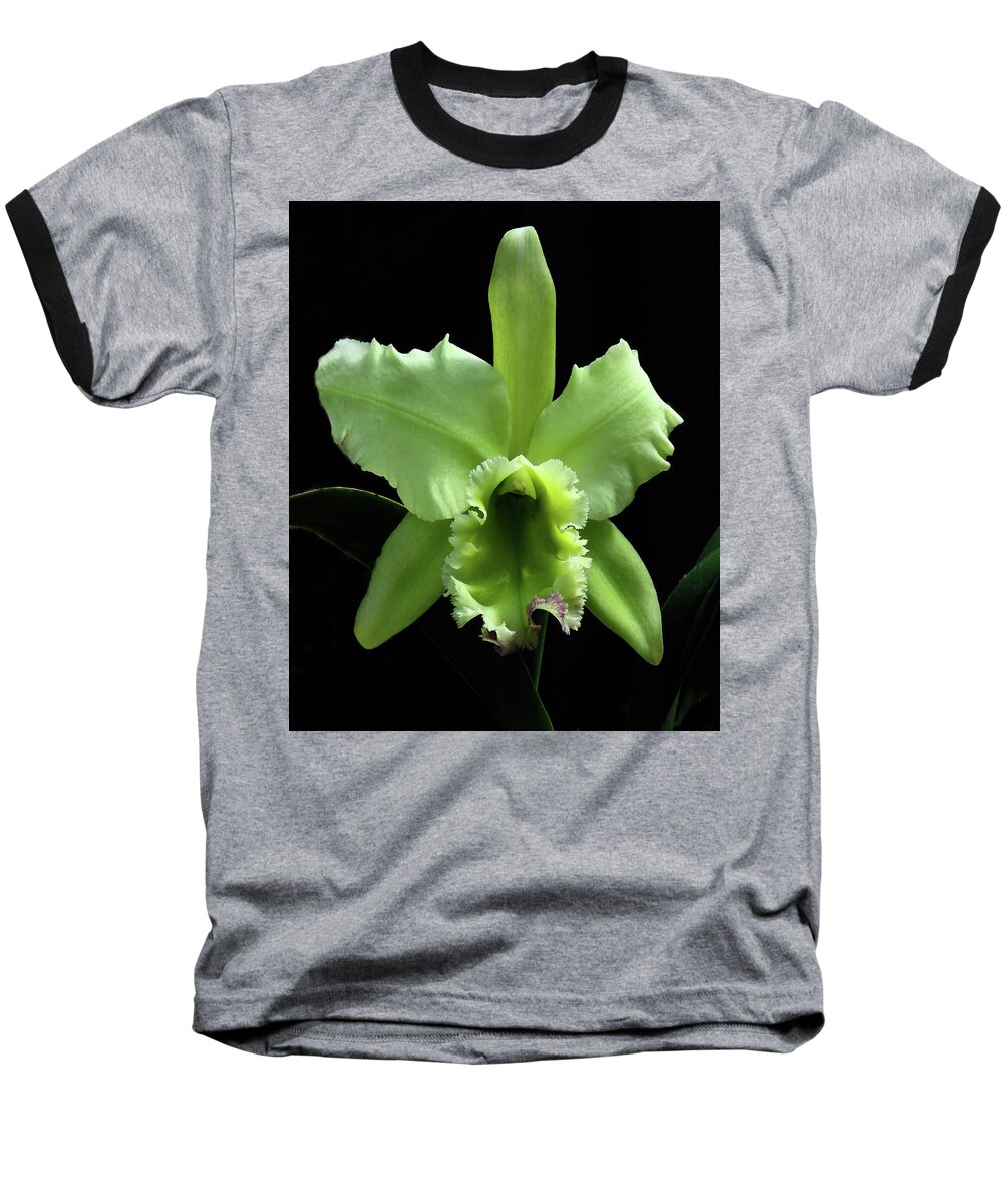 Orchid Baseball T-Shirt featuring the photograph Green Cattleya by Rosalie Scanlon