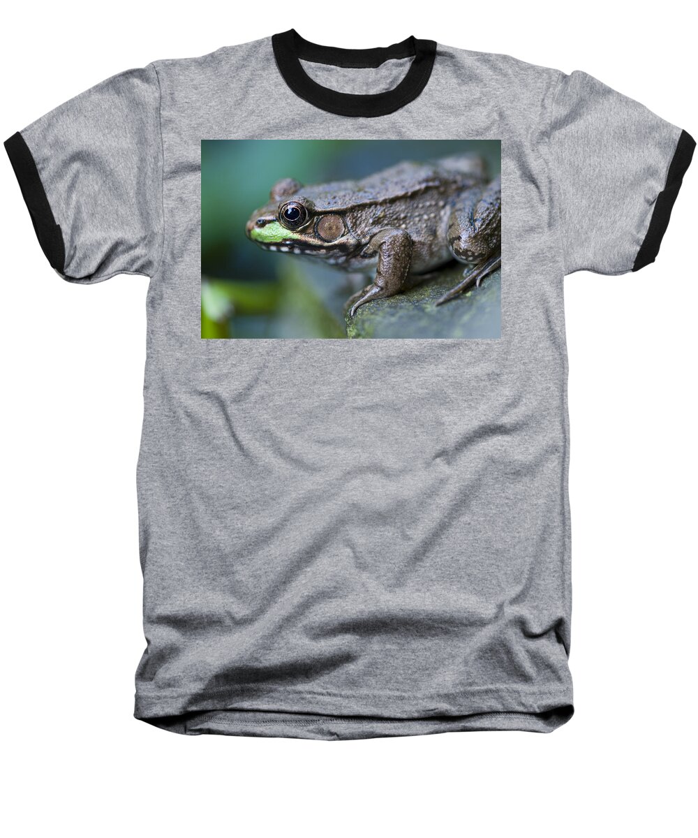 Day Baseball T-Shirt featuring the photograph Green frog by Brian Green