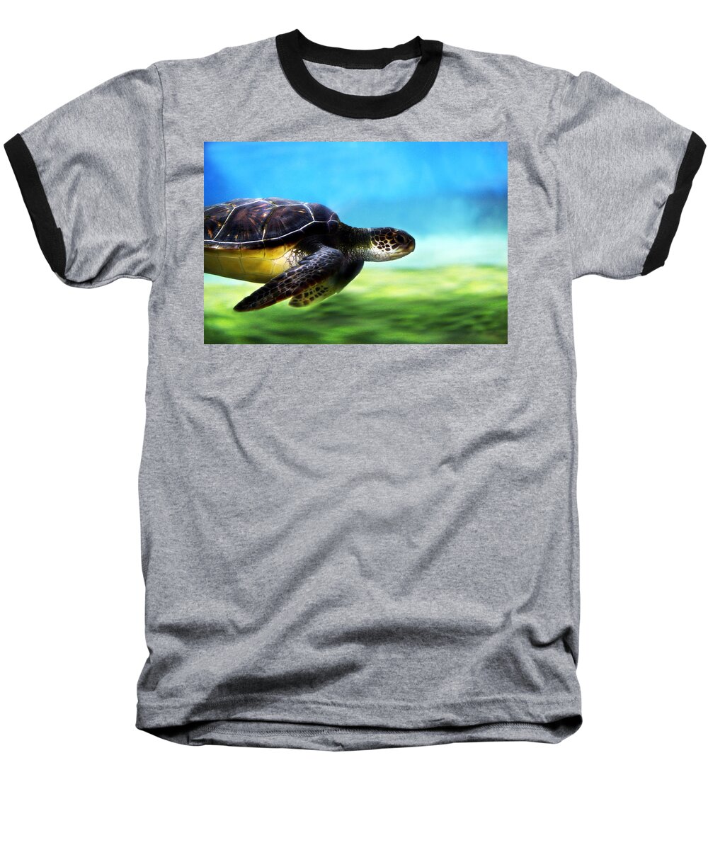 Green Baseball T-Shirt featuring the photograph Green Sea Turtle 2 by Marilyn Hunt