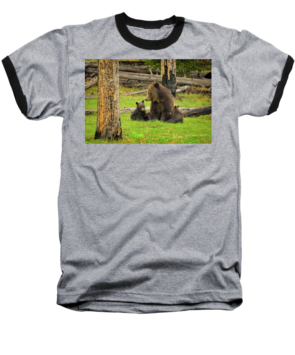 Grizzly Baseball T-Shirt featuring the photograph Grizzly Family Gathering by Greg Norrell