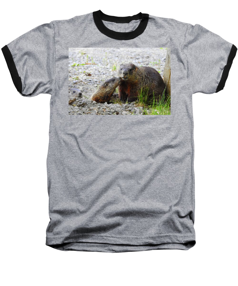 Groundhogs Baseball T-Shirt featuring the photograph Groundhog Kiss by Betty-Anne McDonald