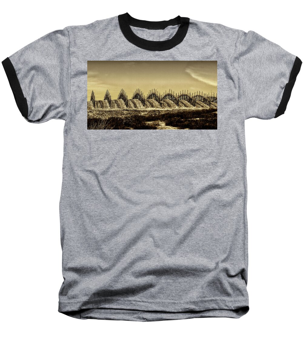 Grapes Baseball T-Shirt featuring the photograph Growing Grapes in Temecula by Joseph Hollingsworth