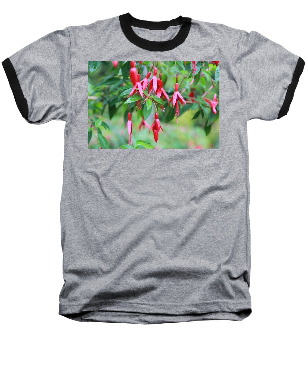 Fuschia Baseball T-Shirt featuring the photograph Growing in Red and Purple by Laddie Halupa