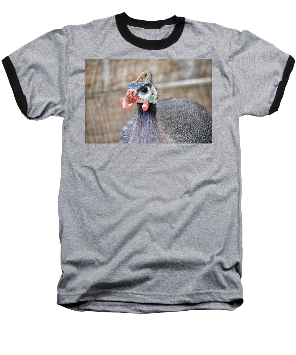 Guinea Baseball T-Shirt featuring the photograph Guinea Fowl by Joseph Caban
