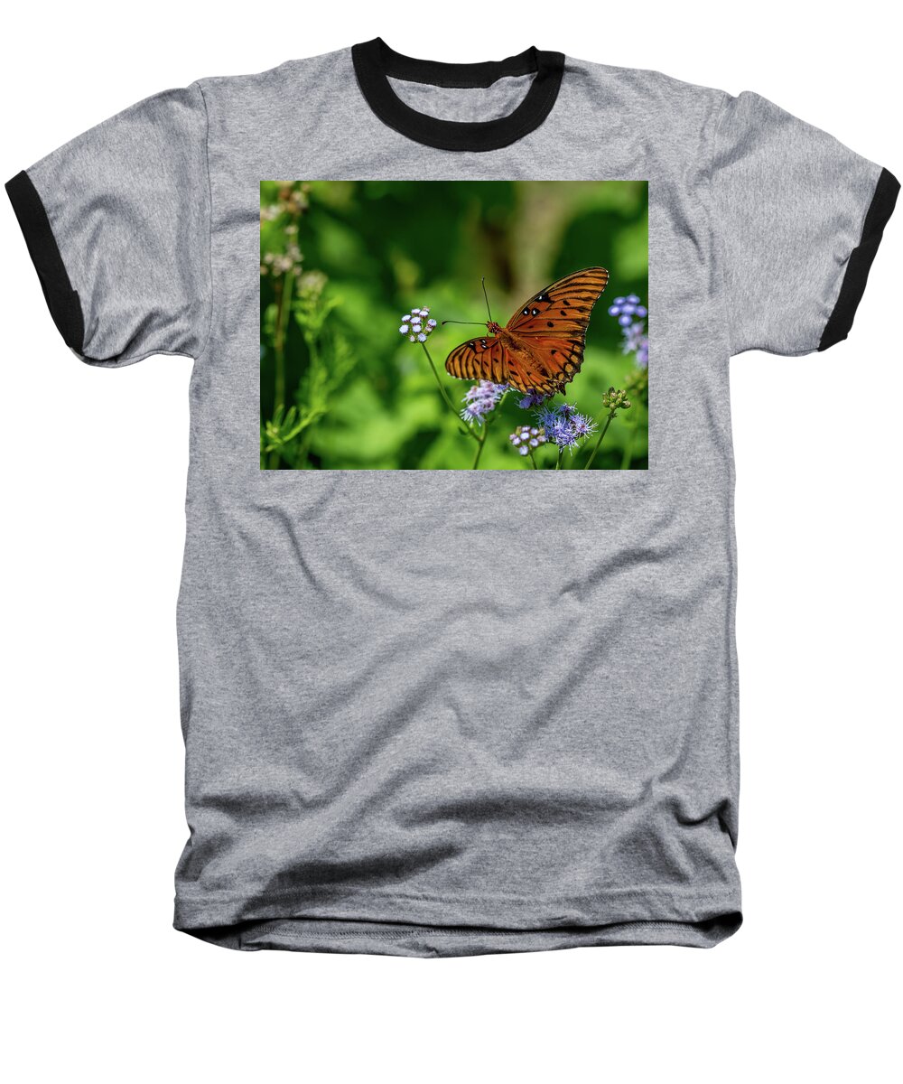 Butterfly Baseball T-Shirt featuring the photograph Gulf Fritillary Butterfly by Susie Weaver