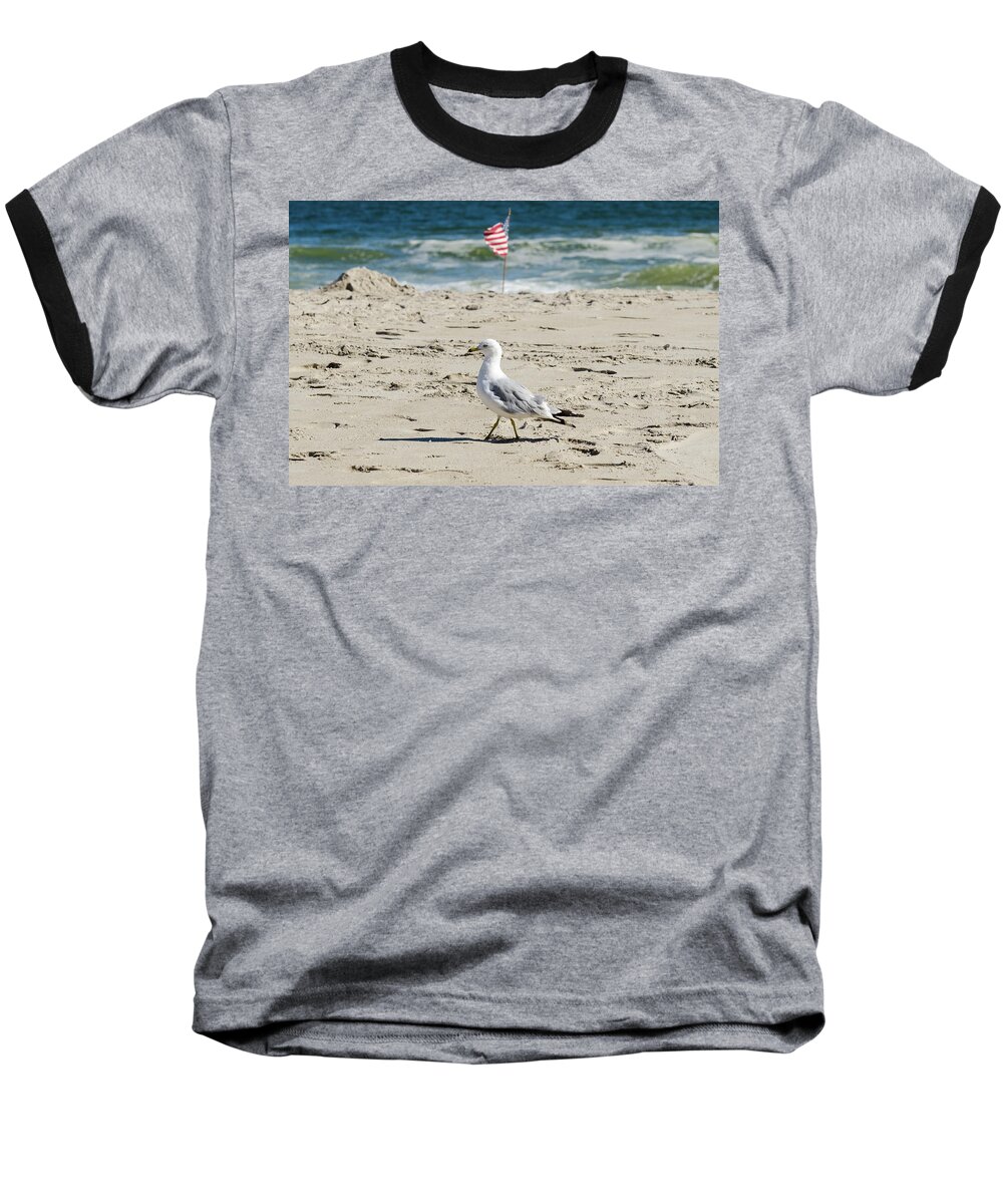 Beach Baseball T-Shirt featuring the photograph Gull and Flag Rockaway Beach by Maureen E Ritter