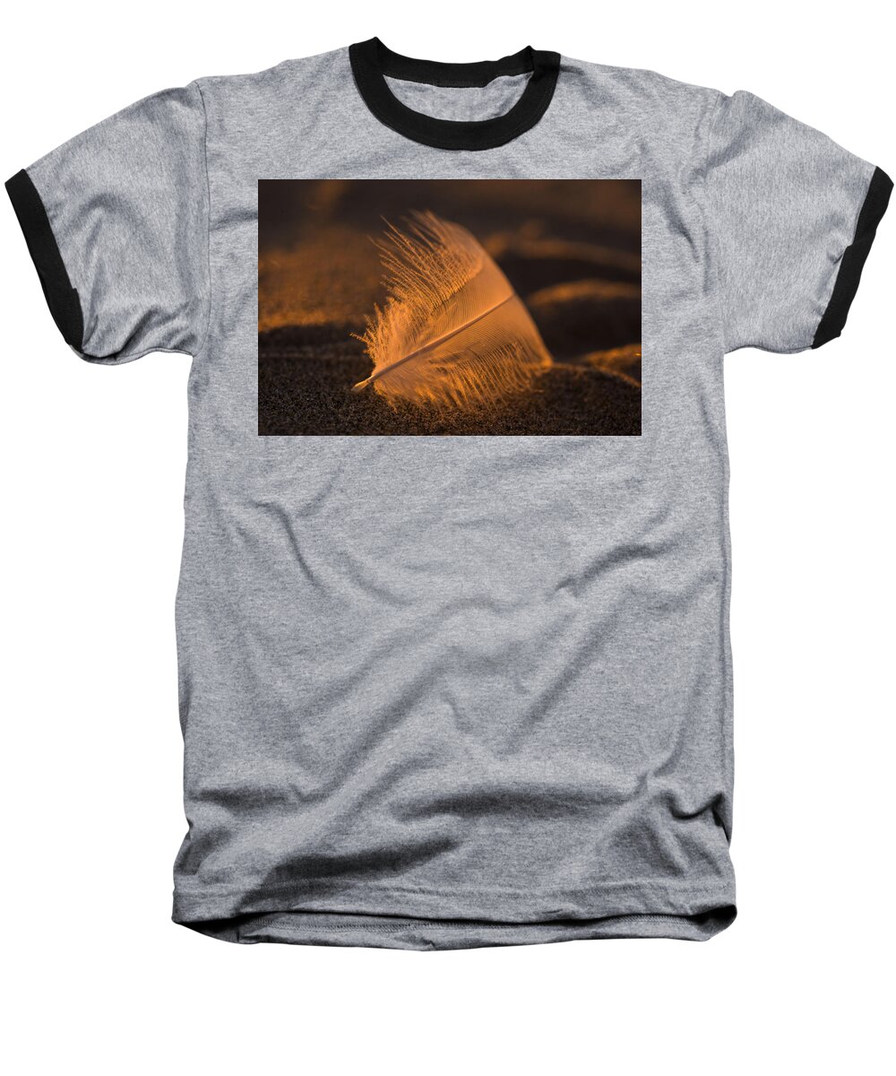 Feather Baseball T-Shirt featuring the photograph Gull Feather at Sunset by Robert Potts