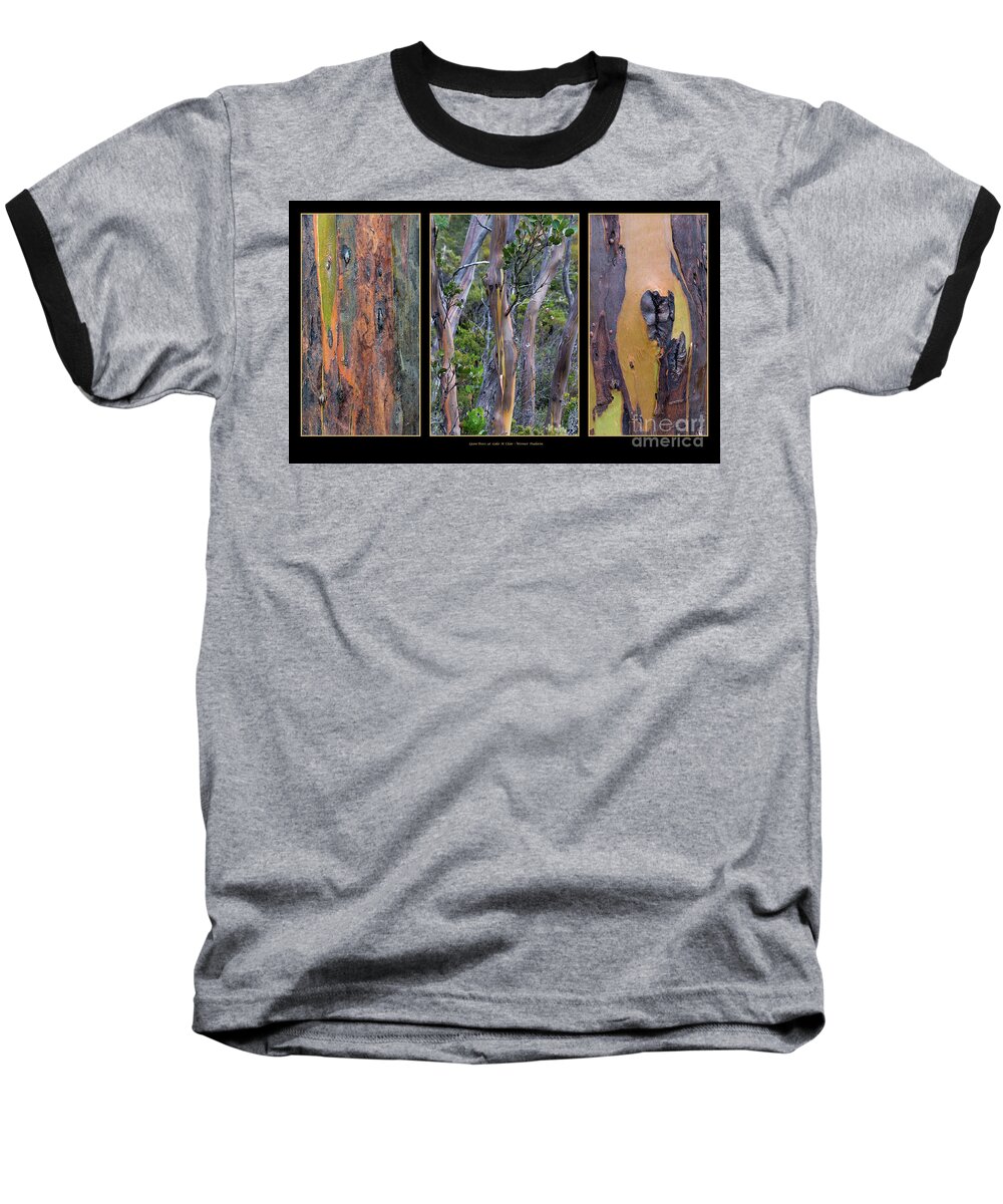 Australia Baseball T-Shirt featuring the photograph Gum Trees at Lake St Clair by Werner Padarin